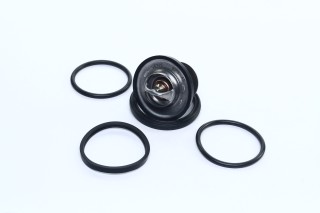 Термостат OPEL (вир-во Vernet)