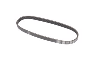 Полікліновий ремінь (Вир-во Dayco)