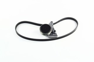 Полікліновий ремінний комплект SKODA SUPERB (3U4), 12/01 - 03/08 TDI (Вир-во INA)