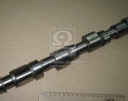 Розподільний вал FIAT 1.4 12V 95-02 чугун (вир-во AE)