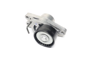 Роликовий модуль натягувача ременя CITROEN BERLINGO (MF) (вир-во SKF)