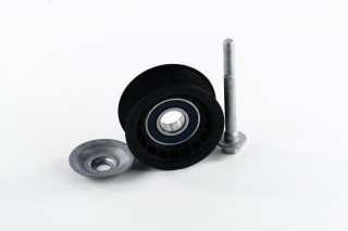 Ролик модуля натяжителя ремня MERCEDES-BENZ M-CLASS (W163) ML 400 CDI  (пр-во SKF)