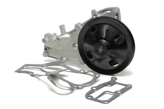 Насос водяний RENAULT /911/19/19 CHAMADE/21/ (Вир-во LPR)