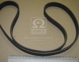 Ремінь поліклінової HYUNDAI/KIA I10 (11-), MORNING/PICANTO (11-) (вир-во Mobis)