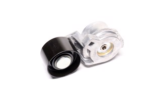 Ролик натяжний RENAULT MAGNUM, VOLVO (вир-во Gates)