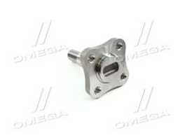 Цапфа осі DACIA LOGAN, RENAULT CLIO II 98- зад. міст (Вир-во MEYLE)