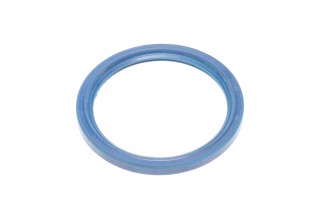 Сальник вала колінчастого МАЗ 140х170х13 (синій)