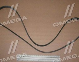 Ремінь полікліновий MAN TGL, TGM (вир-во Gates)