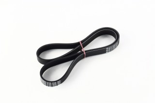 Полікліновий ремінь AUDI 3.2 V6 quattro 07/03-05/09 (Вир-во Contitech)