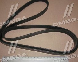 Ремінь полікліновий (Вир-во DAYCO)