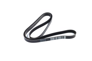 Ремінь полікліновий (Вир-во DAYCO)