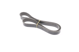 Полікліновий ремінь (вир-во Dayco)