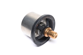 Термостат (вир-во Vernet)