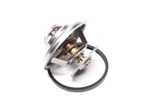 Термостат (вир-во Vernet)