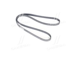 Полікліновий ремінь (Вир-во ContiTech)