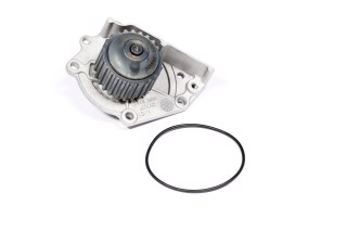 Водяний насос (Вир-во SKF)