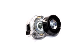 Натяжний ролик, поліклінового ременя (Вир-во SKF)