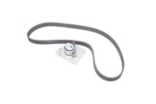 Комплект ременя ГРМ (Вир-во SKF)