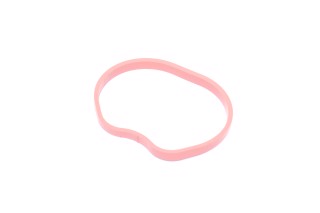 Прокладка колектора IN FORD 1.25/1.4/1.6 16V/HWDA/HWDB (4) (вир-во Elring)