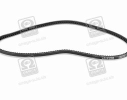 Ремінь клиновий (вир-во DAYCO)