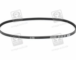 Ремінь поліклін. (вир-во DAYCO)