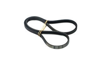 Ремінь поліклін. (вир-во DAYCO)