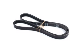 Ремінь поліклін. (вир-во DAYCO)