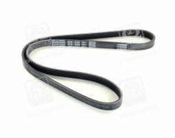 Ремінь поліклін. (вир-во DAYCO)