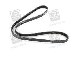 Ремінь поліклін. (вир-во DAYCO)