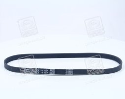 Ремінь поліклін. (вир-во DAYCO)