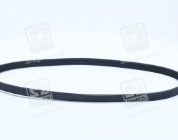 Ремінь поліклін. (вир-во DAYCO)