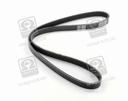 Ремінь поліклін. (вир-во DAYCO)