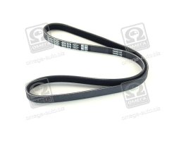 Ремінь поліклін. (вир-во DAYCO)