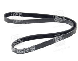 Ремінь поліклін. (вир-во DAYCO)