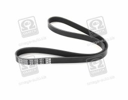 Ремінь поліклін. (вир-во DAYCO)