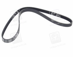 Ремінь поліклін. (вир-во DAYCO)