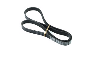 Ремінь поліклін. (вир-во DAYCO)