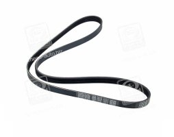 Ремінь поліклін. (вир-во DAYCO)