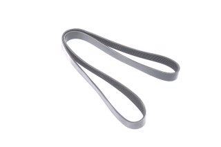 Ремінь поліклін. 8PK1509 TRUCK (RIDER)