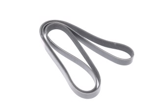 Ремінь поліклін. 8PK1920 (RIDER)