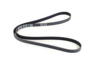 Ремінь поліклін. (вир-во DAYCO)