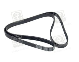 Ремінь поліклін. (вир-во DAYCO)