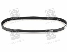 Ремінь поліклін. (вир-во DAYCO)