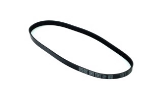 Ремінь поліклін. (вир-во DAYCO)