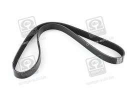 Ремінь поліклін. (вир-во DAYCO)