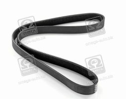 Ремінь поліклін. (вир-во DAYCO)