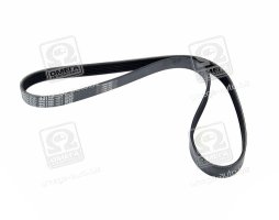 Ремінь поліклін. (вир-во DAYCO)