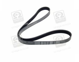 Ремінь поліклін. (вир-во DAYCO)