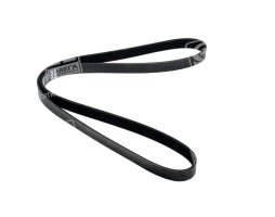 Ремінь поліклін. (вир-во DAYCO)