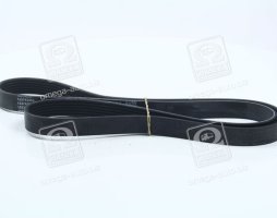 Ремінь поліклін. (вир-во DAYCO)